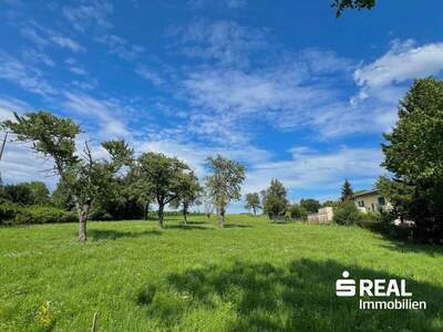Grundstück kaufen in 4611 Buchkirchen (Bild 2)