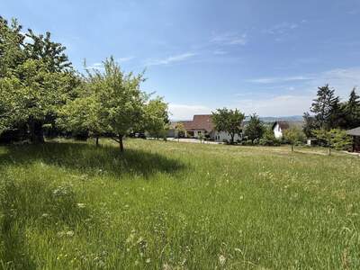 Grundstück kaufen in 4224 Wartberg