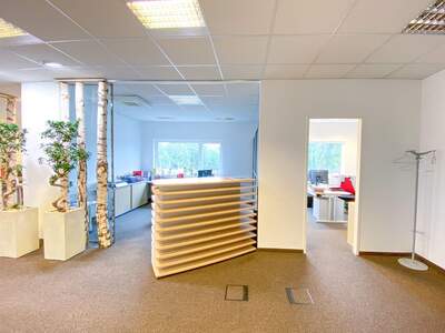 Gewerbeobjekt mieten in 5020 Salzburg (Bild 4)