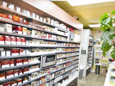 Gewerbeobjekt kaufen in 2560 Berndorf (Bild 2)