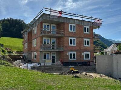 Wohnung mieten in 4460 Losenstein