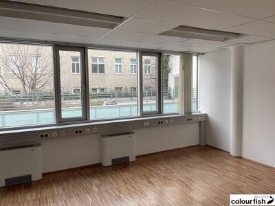 Gewerbeobjekt mieten in 1190 Wien (Bild 5)