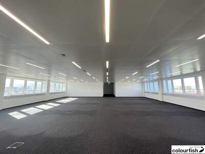 Gewerbeobjekt mieten in 2351 Wiener Neudorf (Bild 3)