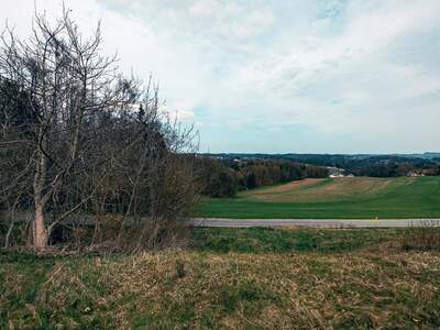 Grundstück kaufen in 8081 Heiligenkreuz