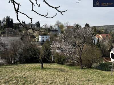 Haus kaufen in 3400 Klosterneuburg