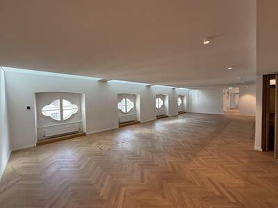 Gewerbeobjekt mieten in 1010 Wien (Bild 5)