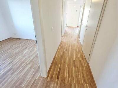 Terrassenwohnung kaufen in 1220 Wien (Bild 2)