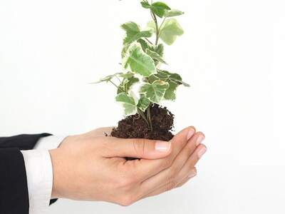 Haus kaufen in 1010 Wien (Bild 1)