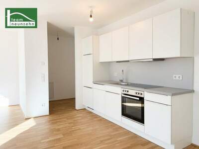 Terrassenwohnung mieten in 1160 Wien (Bild 3)
