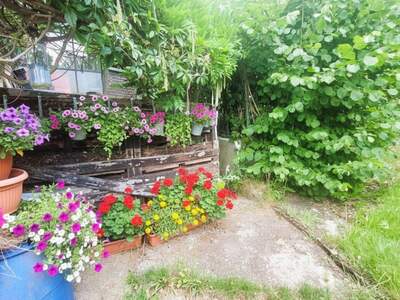 Haus kaufen in 3860 Heidenreichstein