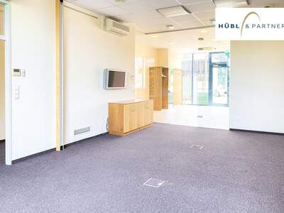 Gewerbeobjekt mieten in 1220 Wien (Bild 5)