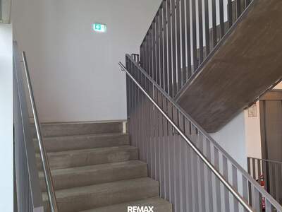 Gewerbeobjekt mieten in 8430 Kaindorf (Bild 2)