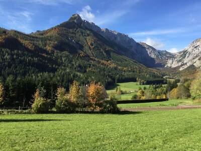 Grundstück kaufen in 8636 Seewiesen (Bild 3)