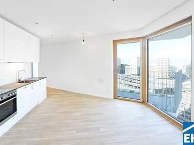 Terrassenwohnung mieten in 1100 Wien (Bild 3)