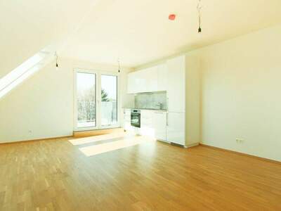 Terrassenwohnung kaufen in 1220 Wien (Bild 4)