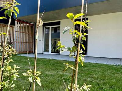 Terrassenwohnung kaufen in 8054 Graz (Bild 1)