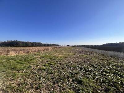 Gewerbeobjekt kaufen in 8423 Sankt Veit (Bild 2)