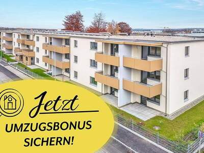 Wohnung mieten in 3950 Gmünd