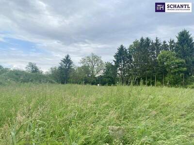 Grundstück kaufen in 7564 Dobersdorf (Bild 5)