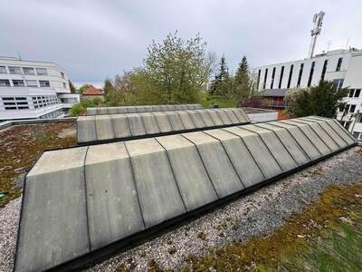 Haus kaufen in 4600 Wels (Bild 3)