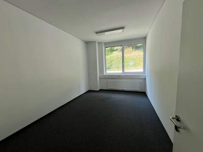 Gewerbeobjekt mieten in 8054 Graz (Bild 2)