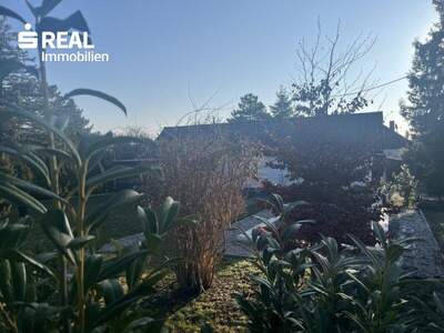 Grundstück kaufen in 1220 Wien (Bild 5)