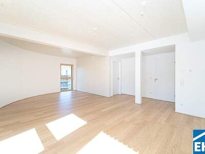 Terrassenwohnung kaufen in 2340 Mödling (Bild 3)