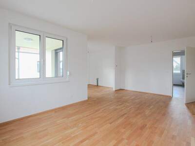 Terrassenwohnung kaufen in 1220 Wien (Bild 2)