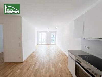 Terrassenwohnung mieten in 1160 Wien (Bild 1)