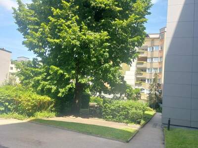 Wohnung mieten in 4600 Wels (Bild 2)