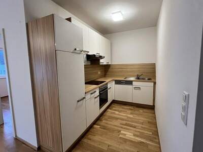 Terrassenwohnung mieten in 4052 Ansfelden (Bild 3)