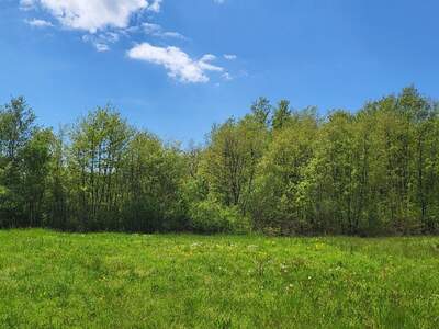 Grundstück kaufen in 52220 Labin (Bild 1)