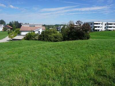 Grundstück kaufen in 4910 Ried (Bild 1)
