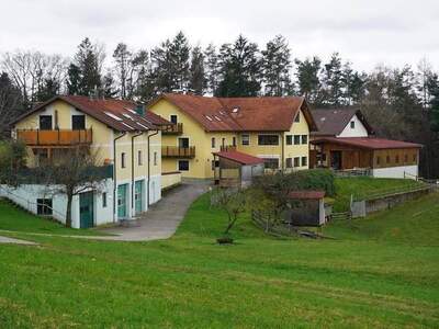 Haus kaufen in 4910 Ried