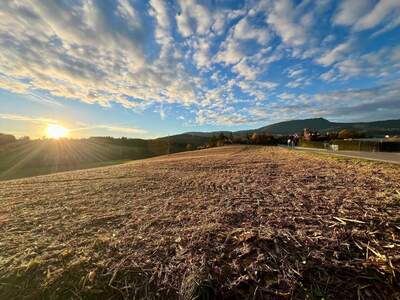 Grundstück provisionsfrei kaufen in 8062 Rabnitz