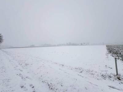 Gewerbeobjekt kaufen in 4072 Alkoven