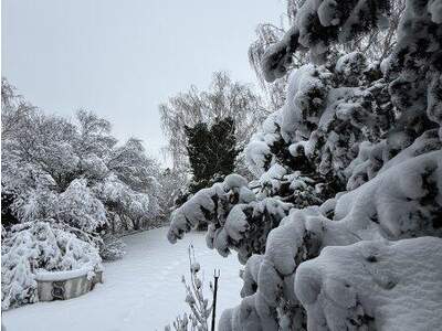 Einfamilienhaus kaufen in 2232 Deutsch (Bild 5)
