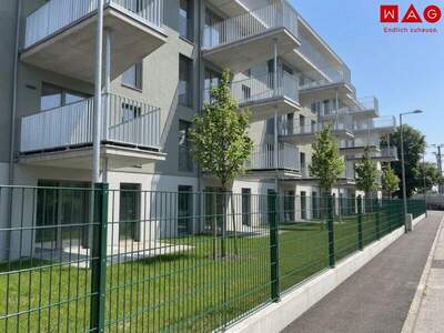 Terrassenwohnung mieten in 8055 Graz (Bild 4)
