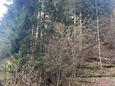 Gewerbeobjekt kaufen in 8850 Murau (Bild 3)