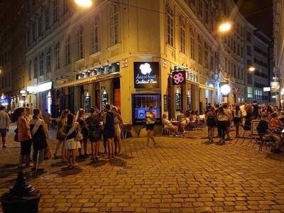 Gewerbeobjekt provisionsfrei mieten in 1010 Wien