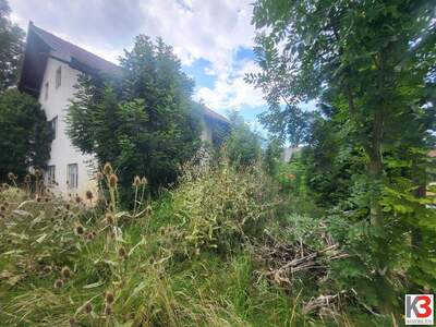Haus mit Garten kaufen in 5261 Helpfau (Bild 4)