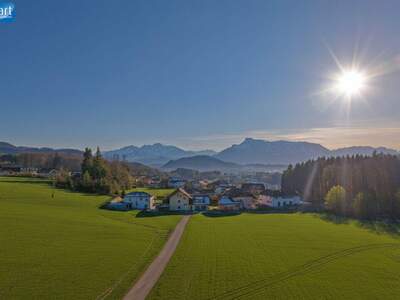 Grundstück kaufen in 5300 Hallwang (Bild 5)