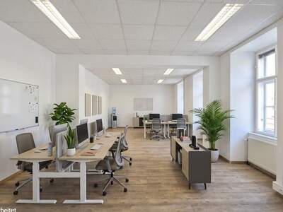 Gewerbeobjekt mieten in 1020 Wien (Bild 3)