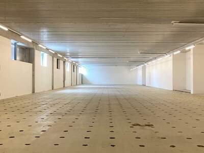 Gewerbeobjekt mieten in 1220 Wien (Bild 4)