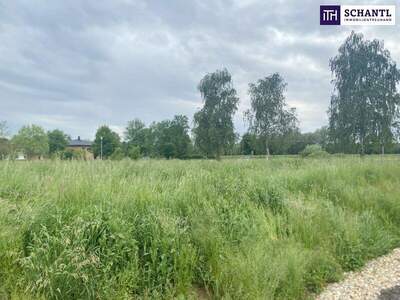 Grundstück kaufen in 7564 Dobersdorf (Bild 2)