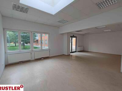 Gewerbeobjekt mieten in 1110 Wien (Bild 1)