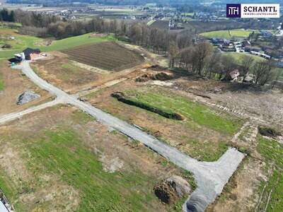 Grundstück kaufen in 8523 Frauental (Bild 3)