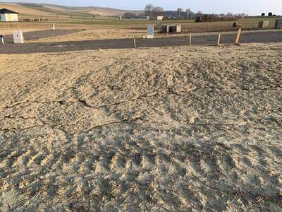 Grundstück kaufen in 2002 Herzogbirbaum