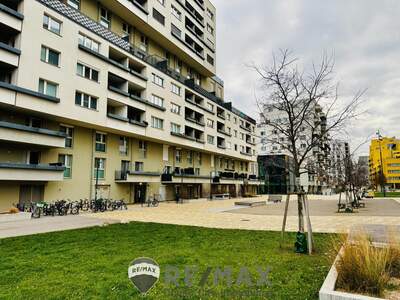 Terrassenwohnung kaufen in 1230 Wien (Bild 3)
