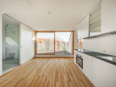 Anlageobjekt kaufen in 1170 Wien